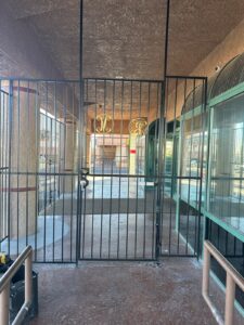 WhatsApp Image 2026-01-25 at 11.16.44 AM (2)